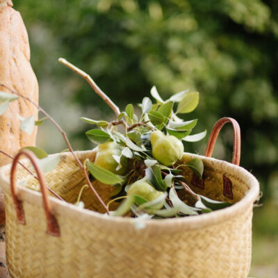 Glendonald Farrm 164